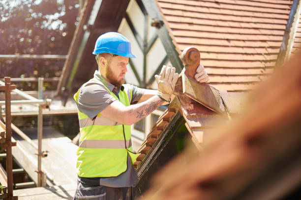 Best Roof Restoration Services  in East Flat Rock, NC