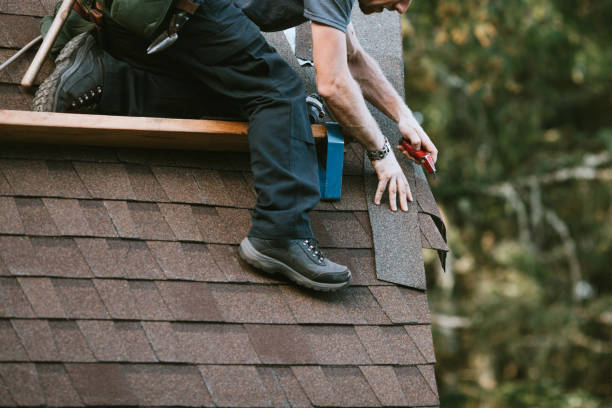 Best Metal Roofing Contractor  in East Flat Rock, NC